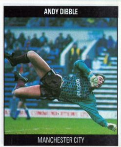1992 Football Collection. Click to see all the cards in this set.