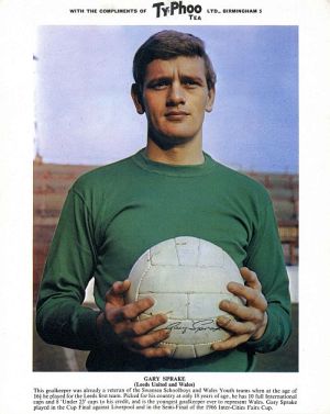 1967 International Football Stars Series 1. Click to see all the cards in this set.
