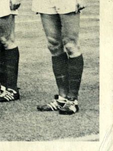 1966 Footballer Picture Cards Series 1. Click to see all the cards in this set.